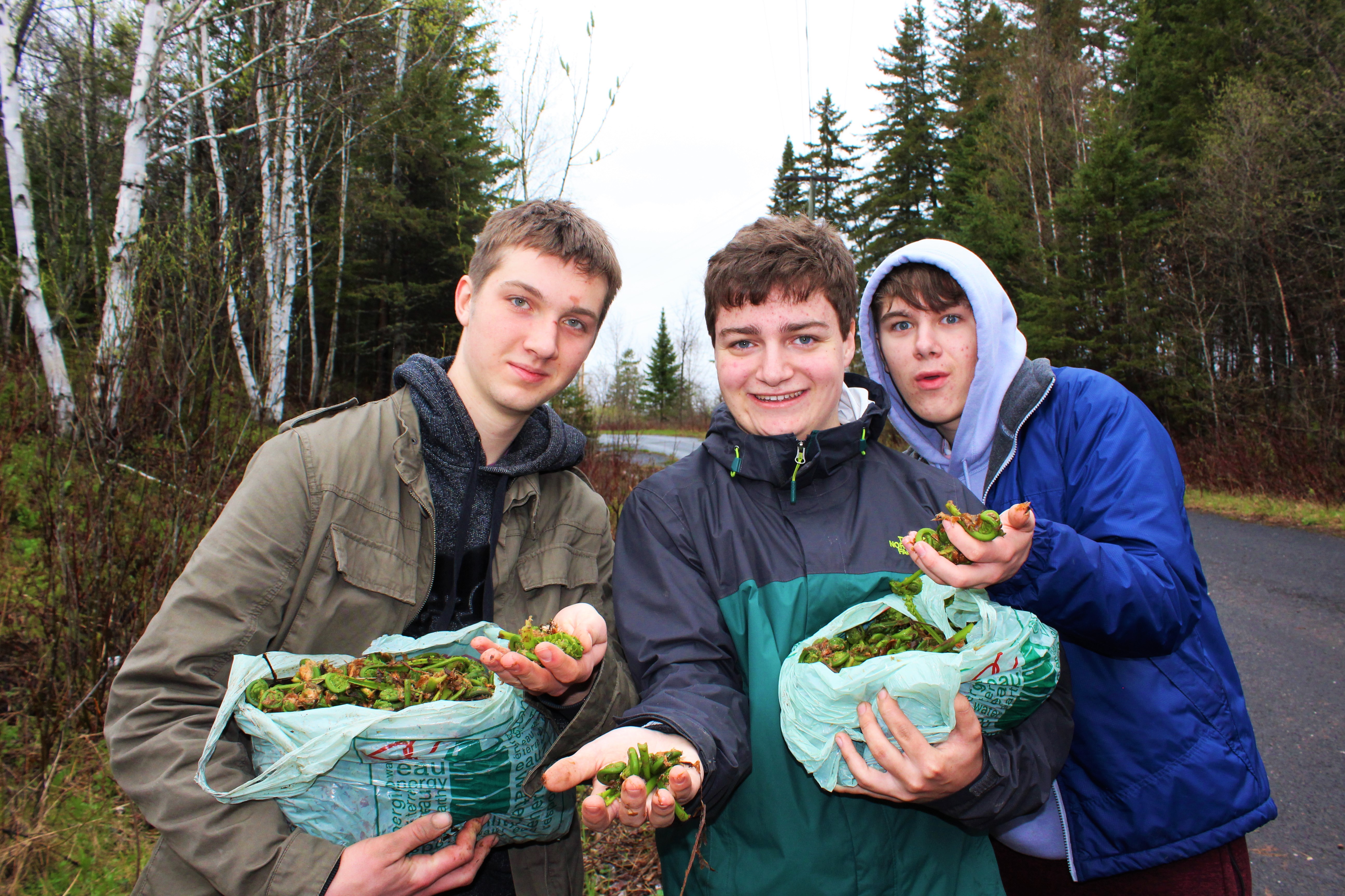 Three youth holding up bags of fiddleheads